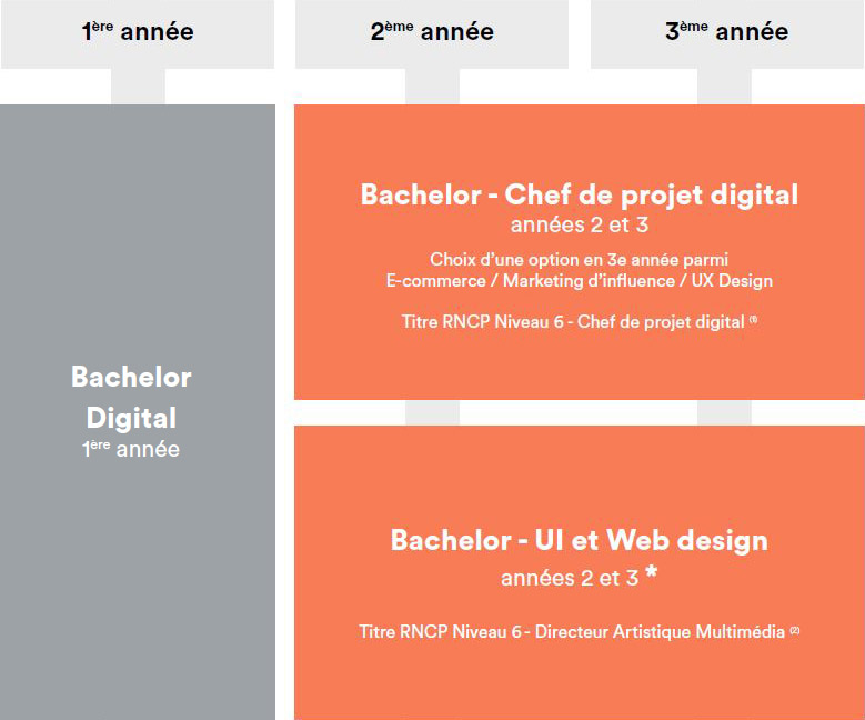 Schéma d'études post parcoursup à digital camus en région