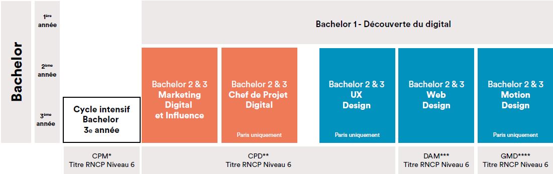 Parcours d'étude bacehlor